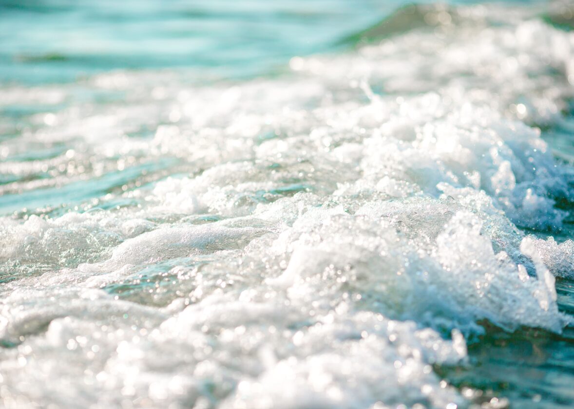 SALT AND THE FOUNDATIONS OF CIVILIZATION